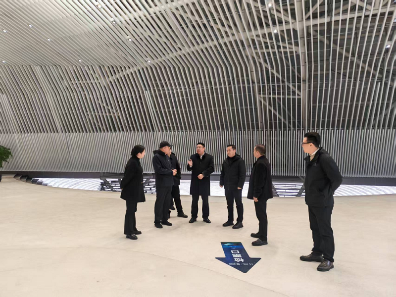 海南省委政策研究室副主任林晖一行 调研1869中国大熊猫生态世界项目